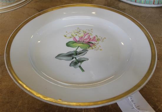 Meissen botanical plate(-)